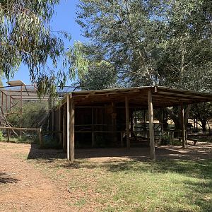 Rhesus Macaque Enclosure