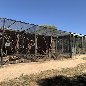 Aviaries
