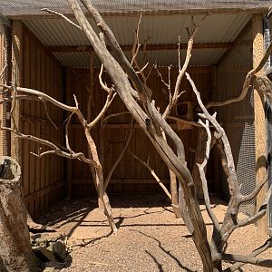 Brushtail Possum Exhibit