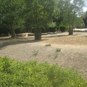 Berlin Tierpark - Reindeer exhibit