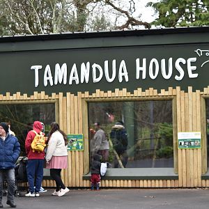 Tamandua House
