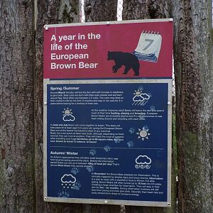 European brown bear signage