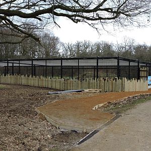 Developments at the bear enclosure