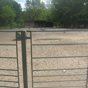 Berlin Tierpark - Donkey exhibit