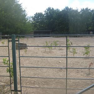 Berlin Tierpark - Pony exhibit