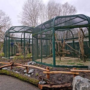 Renovated Macaw exhibits opposite the Gayal