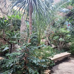 African hall, World of Birds