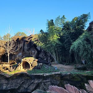 Riverbanks Zoo (2023) - Tiger enclosure