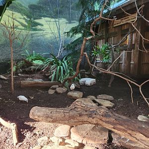 Riverbanks Zoo (2023) - Asian Birds exhibit (Birdhouse)