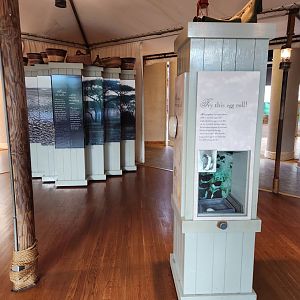 Riverbanks Zoo (2023) - Birdhouse