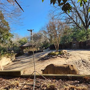 Riverbanks Zoo (2023) - White Rhinoceros enclosure