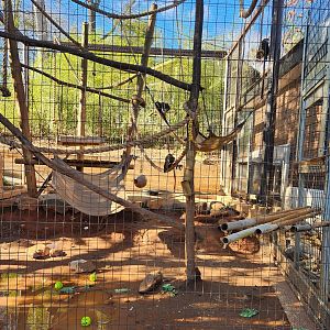 Greenville Zoo (2023) - Monkey enclosure example