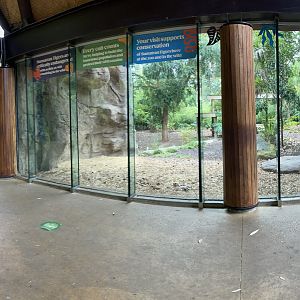 Sumatran tiger exhibit