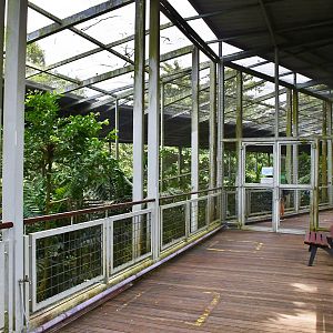 [CLOSED] Window on Paradise