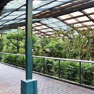 [CLOSED] Royal Ramble