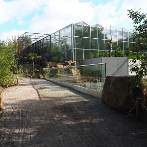 Orangutan greenhouse with future aviary and viewing area for orangutan/gibbon island and ASCO land area, 2022-07-16