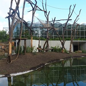 Sumatran orangutan family group and White-cheeked gibbon island, 2022-07-16