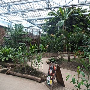 View in the orangutan greenhouse, 2022-07-16