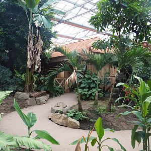 View in the orangutan greenhouse, 2022-07-16