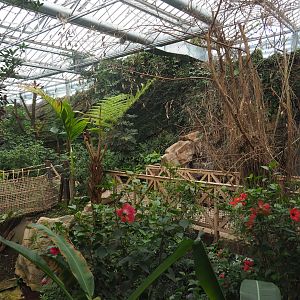 View in the orangutan greenhouse, 2022-07-16