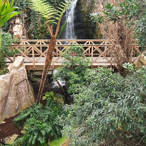 Waterfall and walkway in the orangutan greenhouse, 2022-07-16