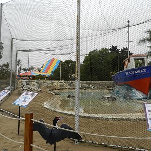 Seabird exhibit - Parque de Las Leyendas