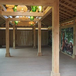 Sumatran orangutan viewing area, 2022-07-16
