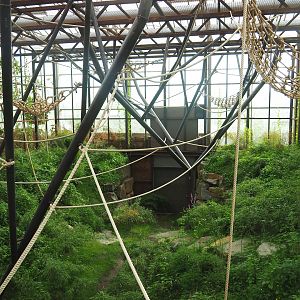 Indoor exhibit for two older female and a young male Sumatran orangutan, 2022-07-16