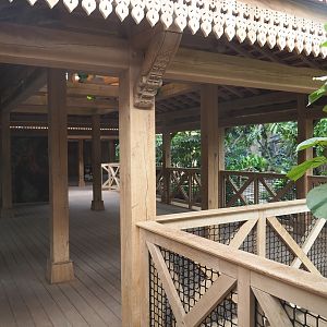 Northern white-cheeked gibbon indoor viewing lodge, 2022-07-16