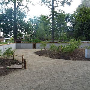 Viewing area for future red panda exhibit (currently only housing Reeves's muntjacs), 2022-07-16