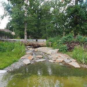 Future red panda exhibit (currently only housing Reeves's muntjacs), 2022-07-16