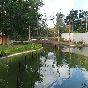 Part of future red panda exhibit (currently only housing Reeves's muntjacs) and orangutan family group/gibbon island, 2022-07-16