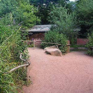 Tasmanian devil viewing area, 2022-07-16
