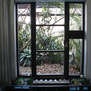 Toco Toucan and Red-legged Seriema Exhibit (Temporary) - Feathers and Scales