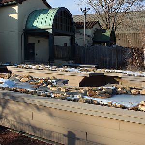 Future Turtle Exhibits