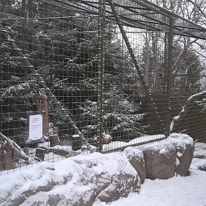 Temporary aviary for great grey owls