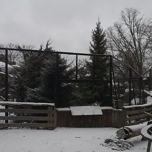 Damaged great grey owl cage