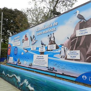 Signage for seabirds - Parque de Las Leyendas