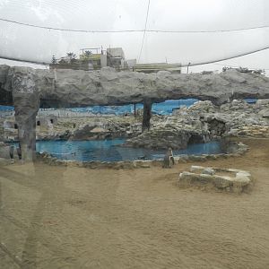 Secondary penguin enclosure - Parque de Las Leyendas