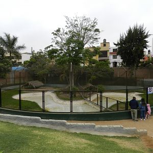 American croc exhibits - Parque de Las Leyendas