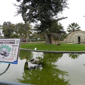 Exhibit for pond turtles and domestic waterfowl - Parque de Las Leyendas
