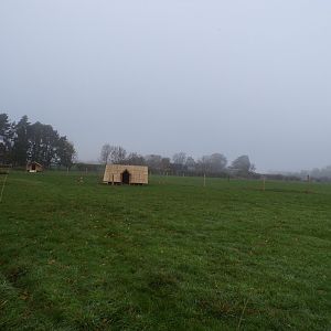 Hog deer enclosure