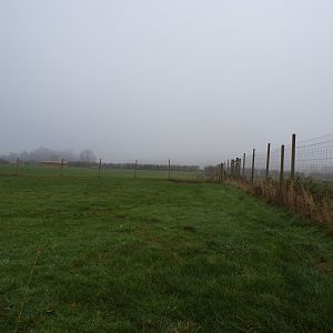 Hog deer enclosure (2)