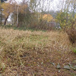 The pond (without water)