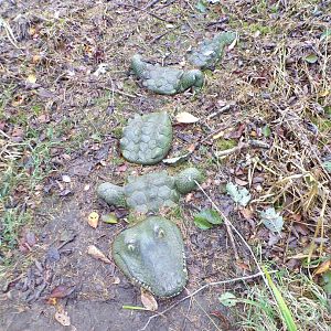 Crocodile model in the pond