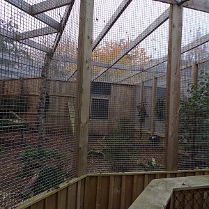 Scottish wildcat enclosure (2)