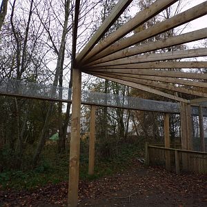 Wildcat overhead tunnel