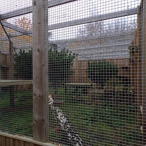 Scottish wildcat enclosure (4)