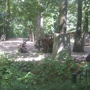 Berlin Tierpark - Moose exhibit