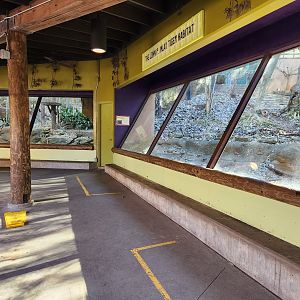 Zoo Atlanta (2023) - Tiger/CL viewing area